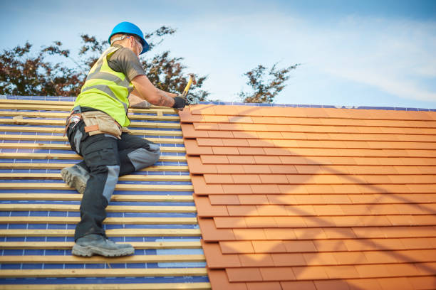 Best Green or Eco-Friendly Roofing Solutions  in White City, FL